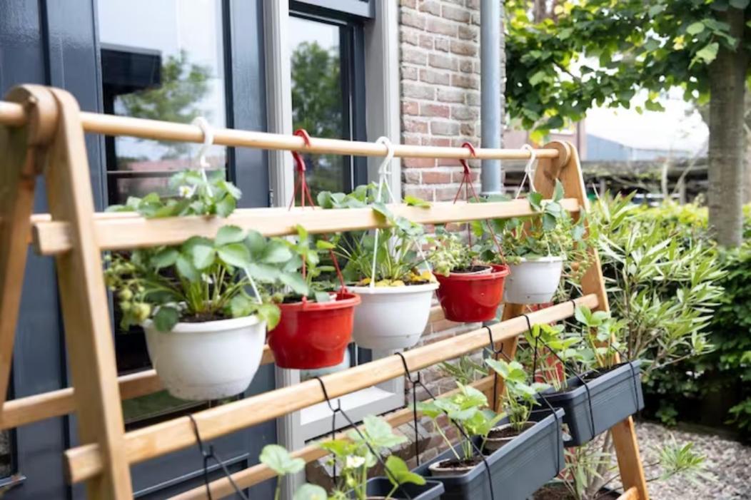 Twijzelerheide B&B Klassiek المظهر الخارجي الصورة