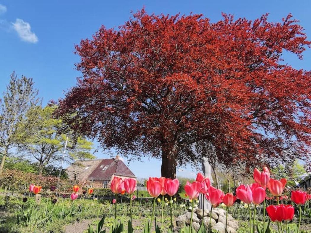 Twijzelerheide B&B Klassiek المظهر الخارجي الصورة